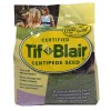 Tifblair Centipede Grass Seed (Certified) - Select Your Size -