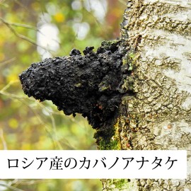 Natural Health Company Kabanoatake Powder, 16.9 oz (500 g), Chaga Powder, Chaga