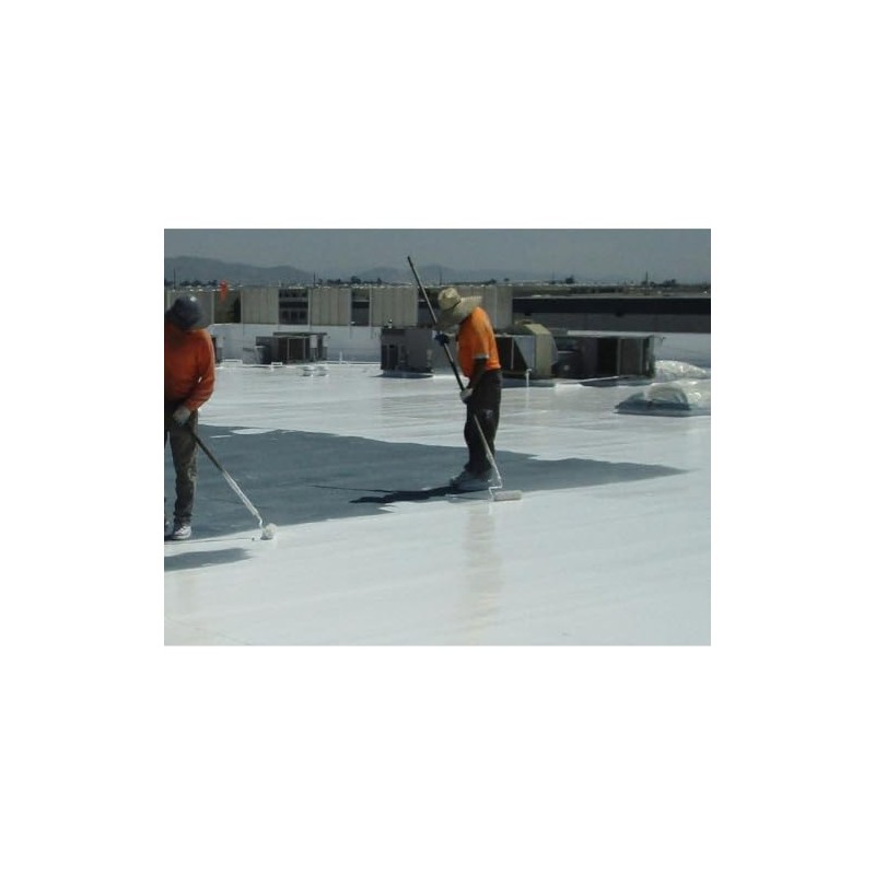 Black Jack Eterna-Kote 100% Silicone+ Roof Coating, White, 1 Gallon,