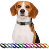 Collar para Perro y Gato. Diseño Cómodo, Resistente y Ajustable.