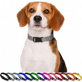 Collar para Perro y Gato. Diseño Cómodo, Resistente y Ajustable. Collar para Mascota Mini, Mediano, Grande y Extra Grande. Dog Collar Modelo Alkaid (Gris, Mediano)