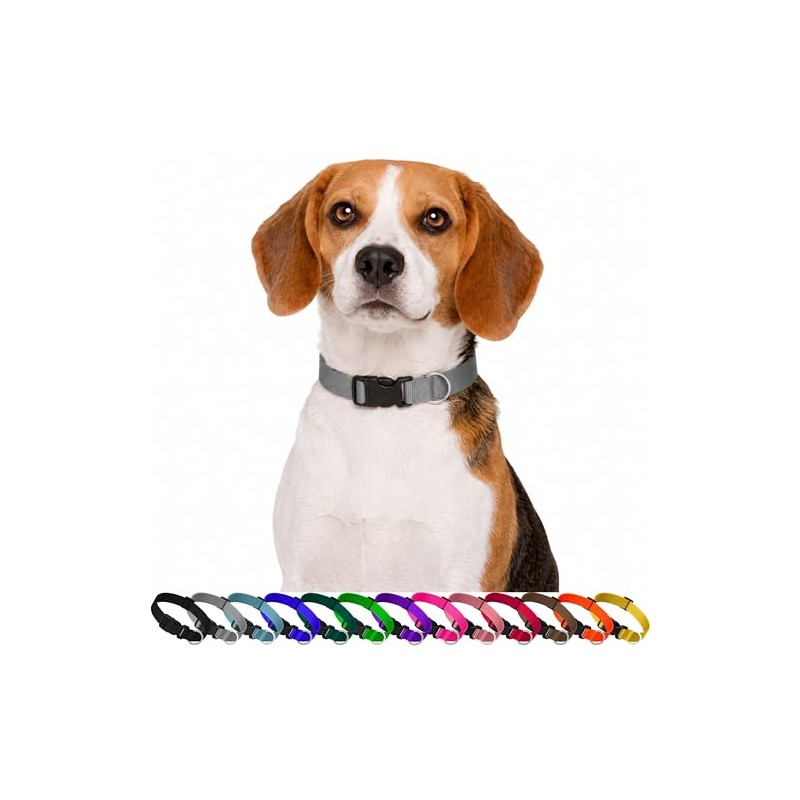 Collar para Perro y Gato. Diseño Cómodo, Resistente y Ajustable.