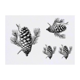 Azeeda 4 x 'Einzelner Tannenzapfen' Temporäre Tattoos - Wasserfest, Hautfreundlich & Ungiftig · Transfers in Verschiedenen Größen (TO00076784)