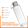 Epica glass bottles with lids – 18oz glass water bottles,