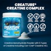 CREATURE Complejo de creatina monohidrato de creatina en polvo con