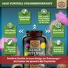 Scheunengut LIVER INTENSO?+ Liver Capsules High Dose - IMPORTANT: Laboratory-tested