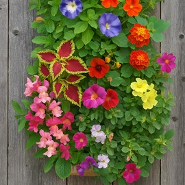 HANG & GROW Canvas Hanging Bag – 8 Holes (1" Each) with 1 Hummingbird Seed Packet – Perfect for Growing Fresh Strawberries and Attracting Hummingbirds