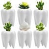 Hedume 6 Pack Tooth Shaped Planter Pots, Small Cute Flower