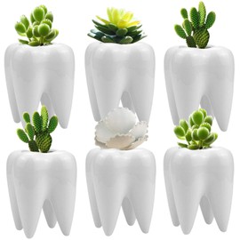 Hedume 6 Pack Tooth Shaped Planter Pots, Small Cute Flower Plant Containers, Mini Ceramic Succulent Planter Pots, Creative Pen Pencil Holder for Desk Decor