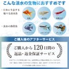 Wiselabo Aquarium Water Quality Test 6 in 1 150 Times