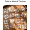 16 Pcs Window Cat Stencils,Animal Theme PET Vintage Drawing Templates