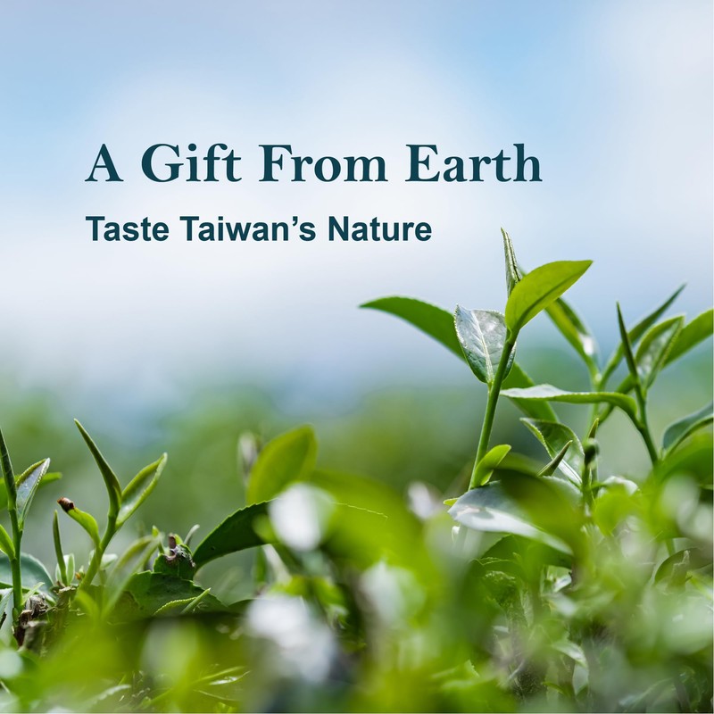 EZRLeaf Tea Assortment Box 22 CT, Presentation Sampler, Gift Box,