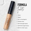 bareMinerals Original Liquid Mineral Concealer, Brightening Dark Circle Eye Concealer,