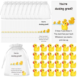 24 Sets Employee Appreciation Gifts Bulk Include 24 Mini Resin Ducks 24 You're Great Ducking Cards 24 Organza Bags Animal Thank You Gift Back to School Gift for Teacher Coworkers Staff Pocket Favors