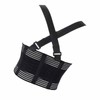Sports Waist Braces Breathable With Adjustable Belt Sports Lumbar Support