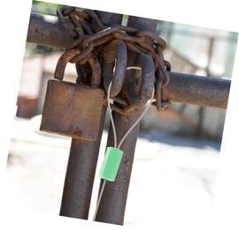 TEHAUX 10pcs Tamper Proof Tags Cord Tags Proof Seal Container Padlock Anti-Tamper Tie Shipping Tamper Cable Self-Locking Wire