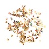 200 Pcs National Flag Thumb Tacks, Country Map Push Pins