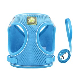 Blue Medium Dog Harness and Leash Set – Soft Mesh, Reflective, Adjustable, Step-in No Pull Puppy Vest for Walking – Breathable Pet Harness for Small Breeds, 6.6-9.9 lbs, (M (Pack of 1))