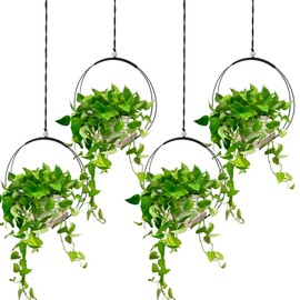 BOHUIZ 4Pcs Hanging Planter with Wood Base for Indoor Plants, Black Hanging Window Planter Boho Macrame Plant Hanger for Window Wall Ceiling Home Decoration (Plants/Pots Not Included)