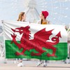 Welsh Flag Tartan - Wales Flag - Wales Dragon -