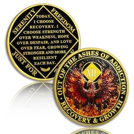 AtSKnSK Phoenix 12 Year Sobriety Coin, Rising From the Ashes NA Coin | Narcotics Anonymous Recovery Anniversary Token, Twelve Year Sober Chip - Sobriety Gifts for Men and Women