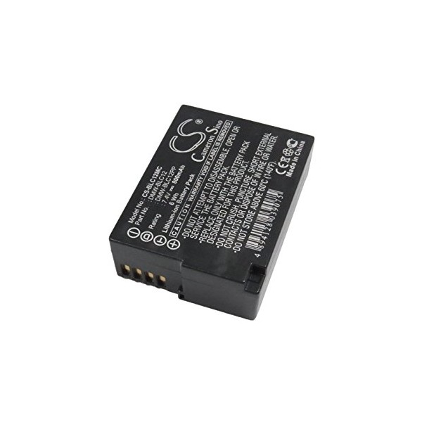 FITHOOD Replacement Battery for PANASONIC DMW-BLC12 DMW-BLC12PP DMW-BLC12E Lumix DMC-FZ1000