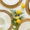Benson Mills Water Hyacinth Braided Round Placemat Set of 4