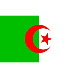 Algeria Flag 3ft x 5ft