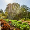 Set de aspersor Oscilante Aquazoom compact Adaptable a jardines de