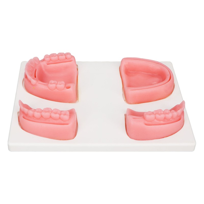 Dental Suture Practice Kit Silicone Model Pliers Tweezers Thread Oral