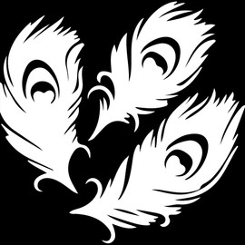 Decal Stickers of Peacock Love Feathers Silhouette (White) (Set of 2) Luxury Weatherproof Vinyl Decal Stickers for Laptop Desktop Smartphone Car Dirt Bike Wall Room Mason - BICVER1712672WHW19Y24