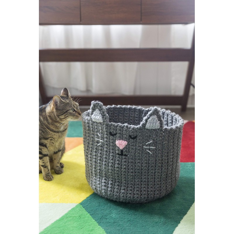 RED HEART Super Saver Yarn, Pooling - Stillwater