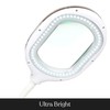 Brightech LightView Pro 3 in 1 Magnifying Lamp - Bright