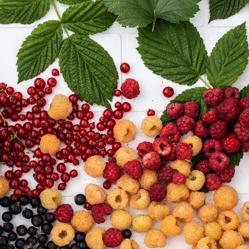 Raspberry Leaf Loose Tea (125g, 4.4oz), Gently Dried Raspberry Leaves,