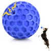 DISSKNIC DISSKNIC Indestructible Squeaky Dog Ball, Relieves Anxiety, Cleans Teeth,