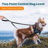 PetBonus Two Point Control Dog Leash, Works with No Pull