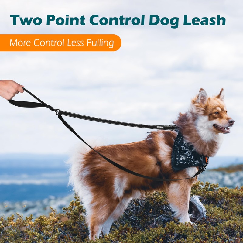 PetBonus Two Point Control Dog Leash, Works with No Pull