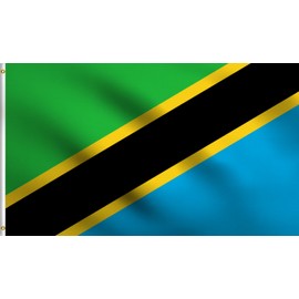 DMSE Tanzania Flag 2X3Ft Foot 100% Polyester 100D Flag