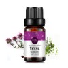 Thyme Essential Oil, Pure, Undiluted, Premium Grade Thyme Oil -