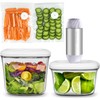 Dreamealhty Auto Vacuum Seal Containers 1L+1.5L with Compact Handheld Vacuum