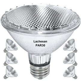Lachesan Par30 39W Short Neck Halogen Flood Light Bulbs, 120V 2700K Warm White Dimmable High Brightness, E26 Base, Great for Accent Lighting, Tracking Light, Recessed Light Bulb, 6pcs