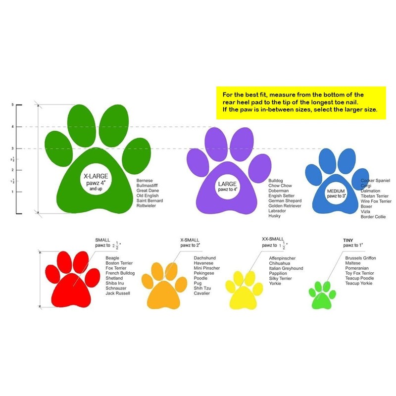 X Large Pawz Durable All Weather Dog Boots (12 boots)