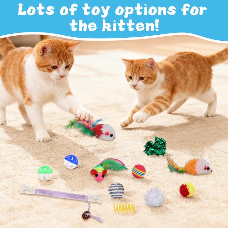 Foxtell Cat Ball Pit Include 229 PCS Interactive Cat Toys
