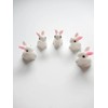 Miniature 5-Piece Bunny Set, Terranium Gardening, Mossium, Dollhouse, Figurine, Diorama