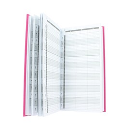Agenda Salon Appointment Book 3 Column Assistant Pink