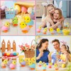Audaisyly Chick Bunny Wind Up Toys for Kids, 4 PCS