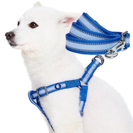Blueberry Pet Essentials Reflective Back to Basics Matching Dog Harness and Leash Set, Navy Blue, Adjustable Harness with 4 ft Leash for Large Dogs