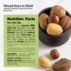 NUTS U.S. – Mixed Nuts In Shell (Almonds, Walnuts, Hazelnuts,