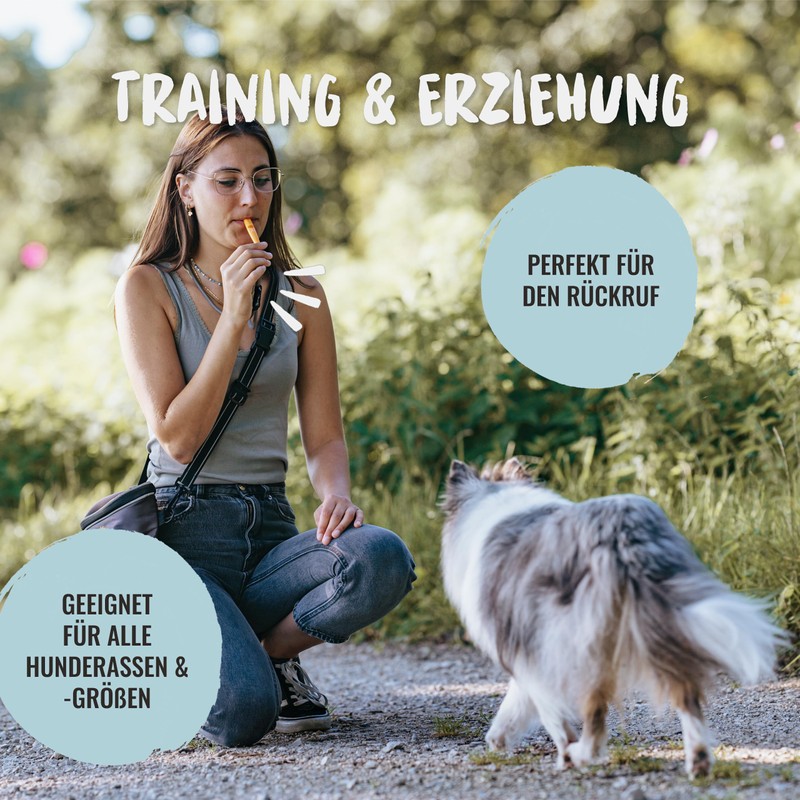Rudelkönig Dog Whistle for Recall - Professional Training Whistle with