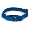 PetSafe Martingale Dog Collar with Quick Snap Buckle